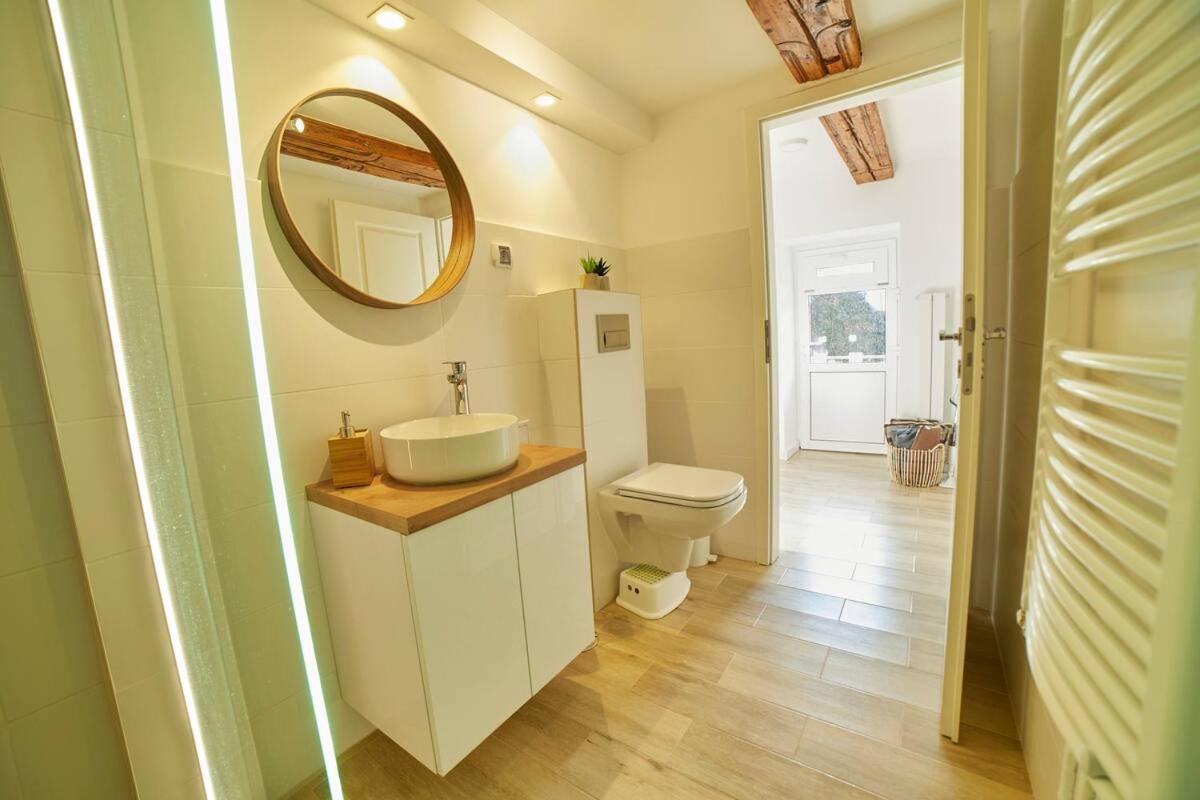 Schei Residence Braşov Dış mekan fotoğraf