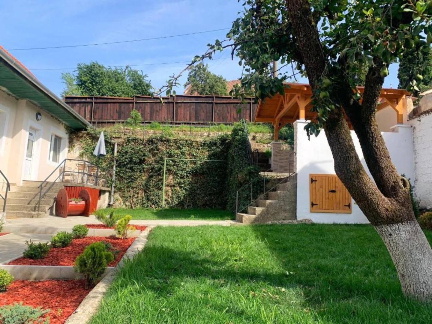 Schei Residence Braşov Dış mekan fotoğraf